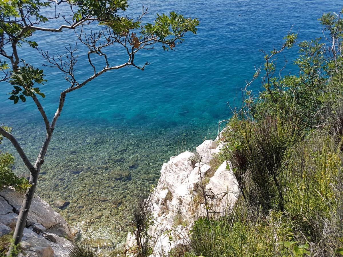 Villa Sundecker Crikvenica Exteriör bild